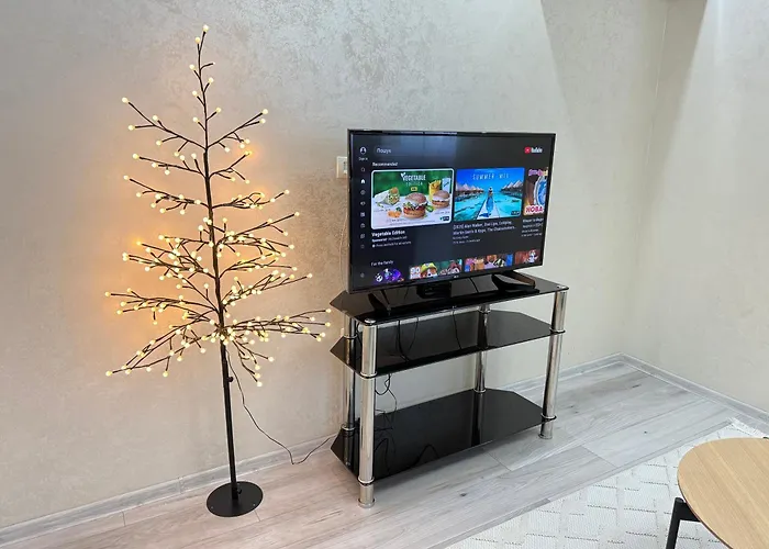 Cozy Two Bedroom Large Apartment
